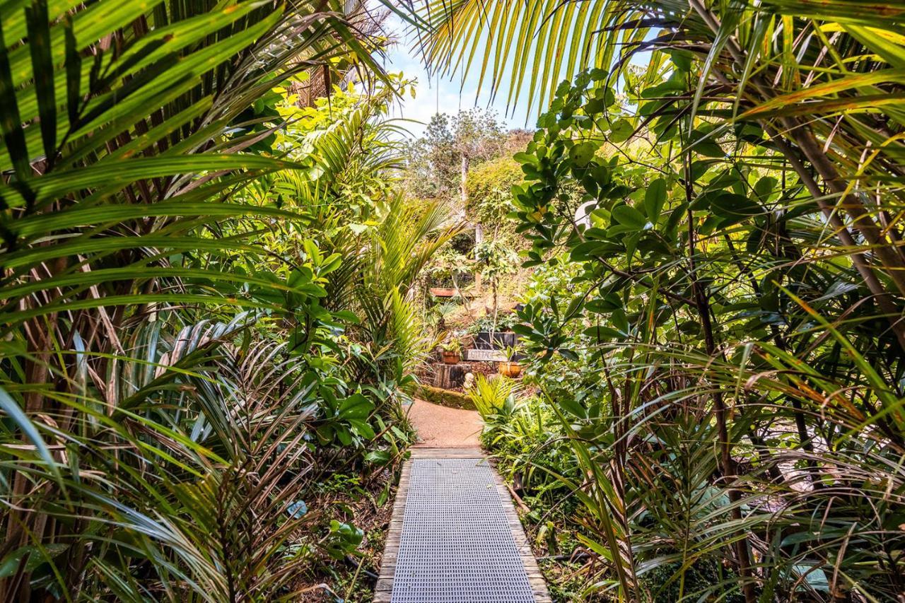 Вилла Boho Hill Waiheke Island Палм-Бич Экстерьер фото